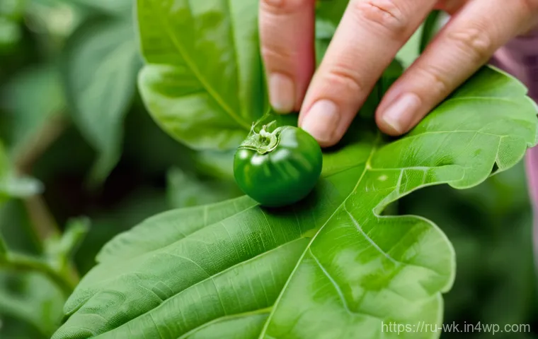 유기농 해충 관리의 효과적인 모니터링 방법 - A close-up shot of a gardener's hand, gently turning over a vibrant green leaf from a healthy garden...