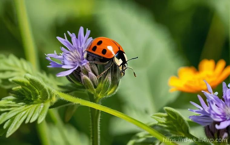 유기농 해충 방제와 지역 환경 보존 - A serene, hyperrealistic photograph of an elderly Russian woman in her lush, organic dacha garden. S...